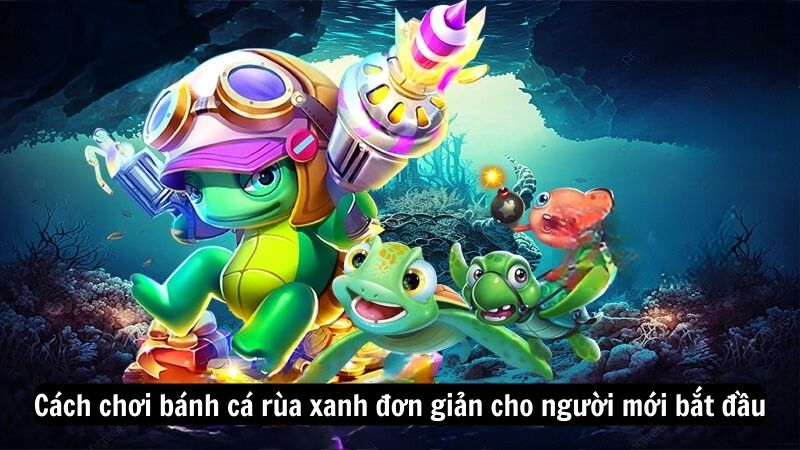 ban ca rua xanh 3 Cách chơi bánh cá rùa xanh đơn giản cho người mới bắt đầu