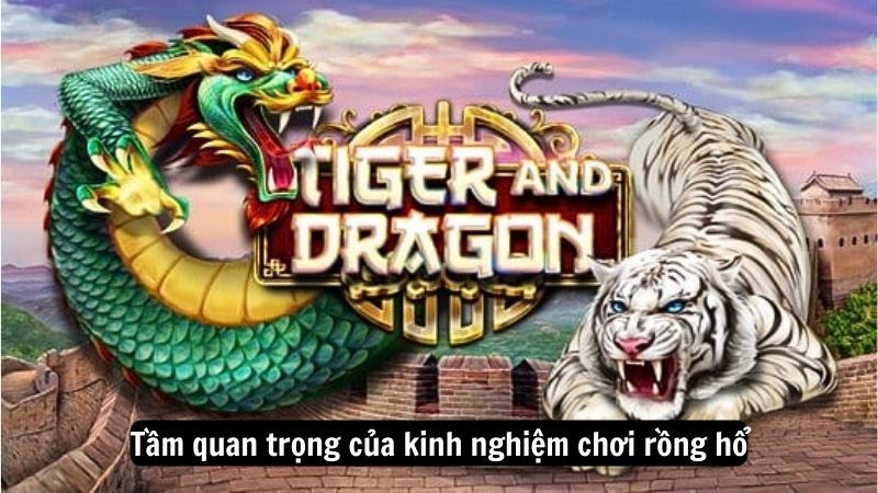 kinh nghiem choi rong ho 1 Tầm quan trọng của kinh nghiệm chơi rồng hổ