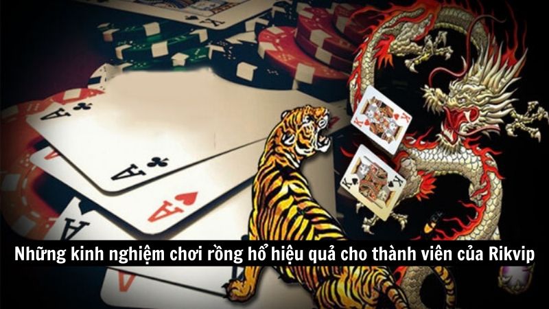 kinh nghiem choi rong ho 2 Những kinh nghiệm chơi rồng hổ hiệu quả cho thành viên của Rikvip
