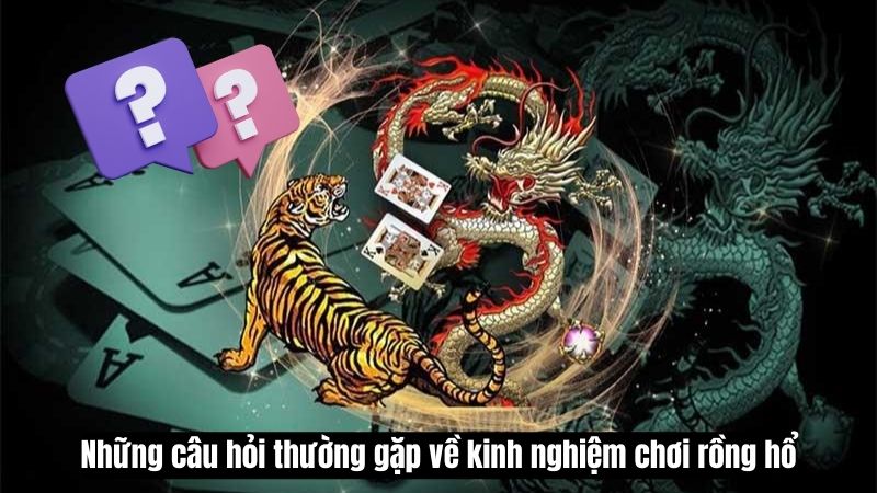 kinh nghiem choi rong ho 3 Những câu hỏi thường gặp về kinh nghiệm chơi rồng hổ