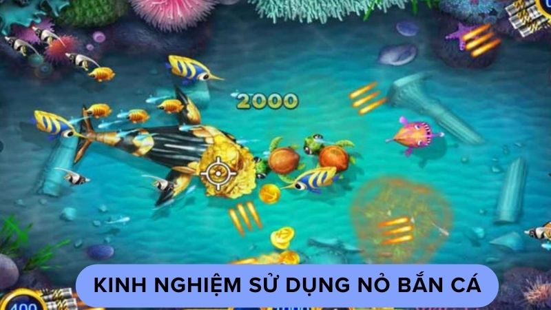 no ban ca 3 Kinh nghiệm sử dụng nỏ bắn cá